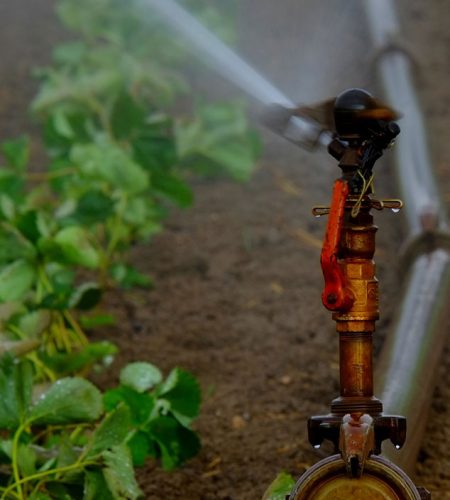 water pipe sprinkling water